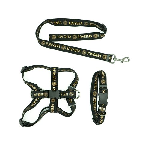 collar versace|versace dog collar and leash.